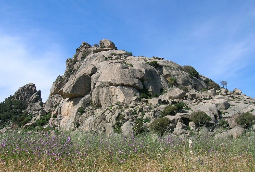 Monti Fraili