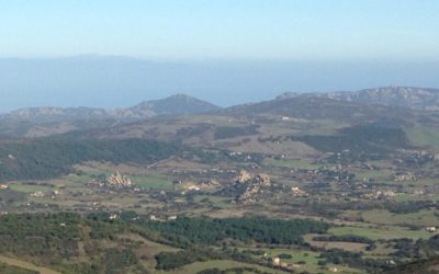 La Frazione di Bonaita