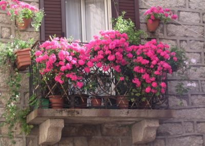 dettaglio di un balcone fiorito nel centro di Aggius, Sardegna
