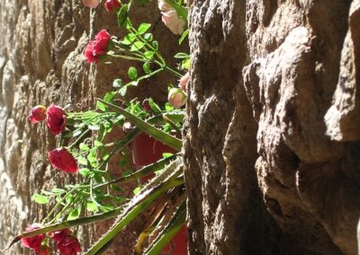 centro storico di Aggius, in Gallura, Sardegna: dettaglio