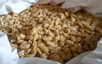 Gnocchetti pasta (li Ciusoni)