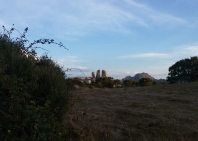 scatto natura nei dintorni di Aggius