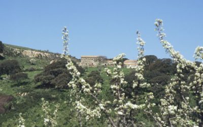 Gli Stazzi e le Chiese Campestri