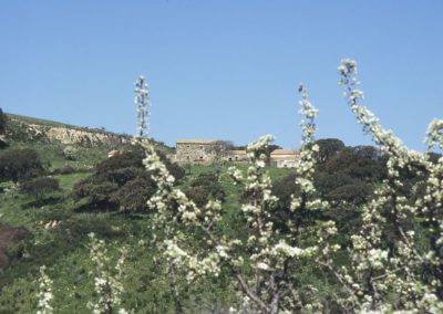 stazzo gallurese ad Aggius